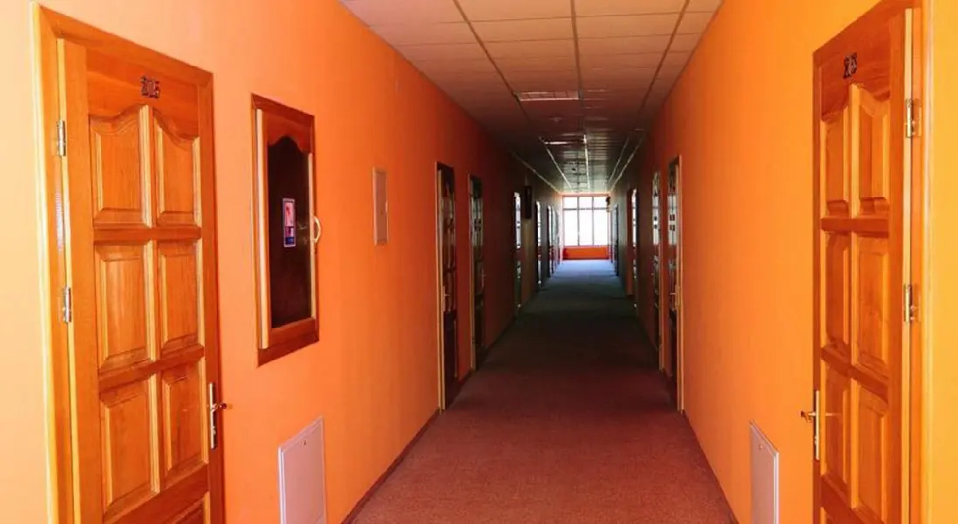 Chervona Gora