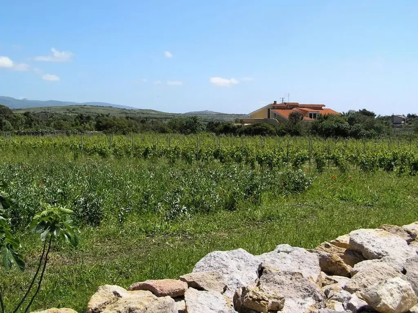 Podere La Pinnetta