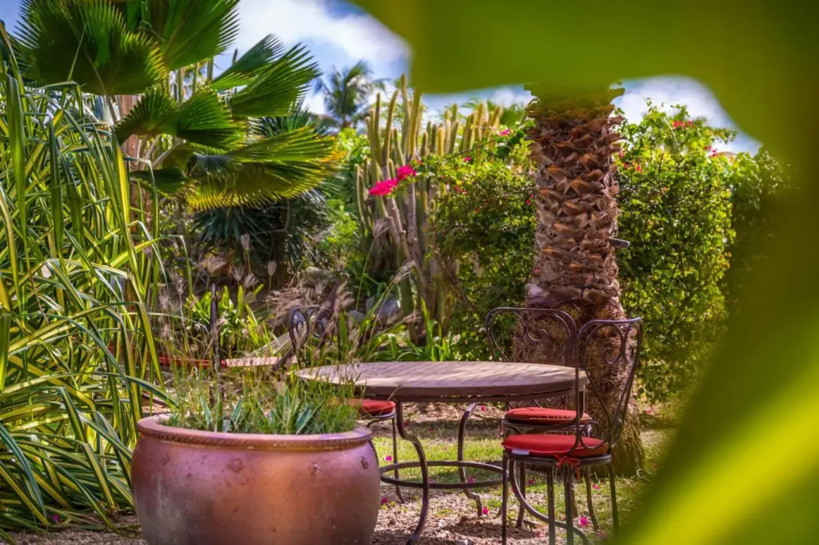 Palm Court Residence & Hotel at Orient Beach