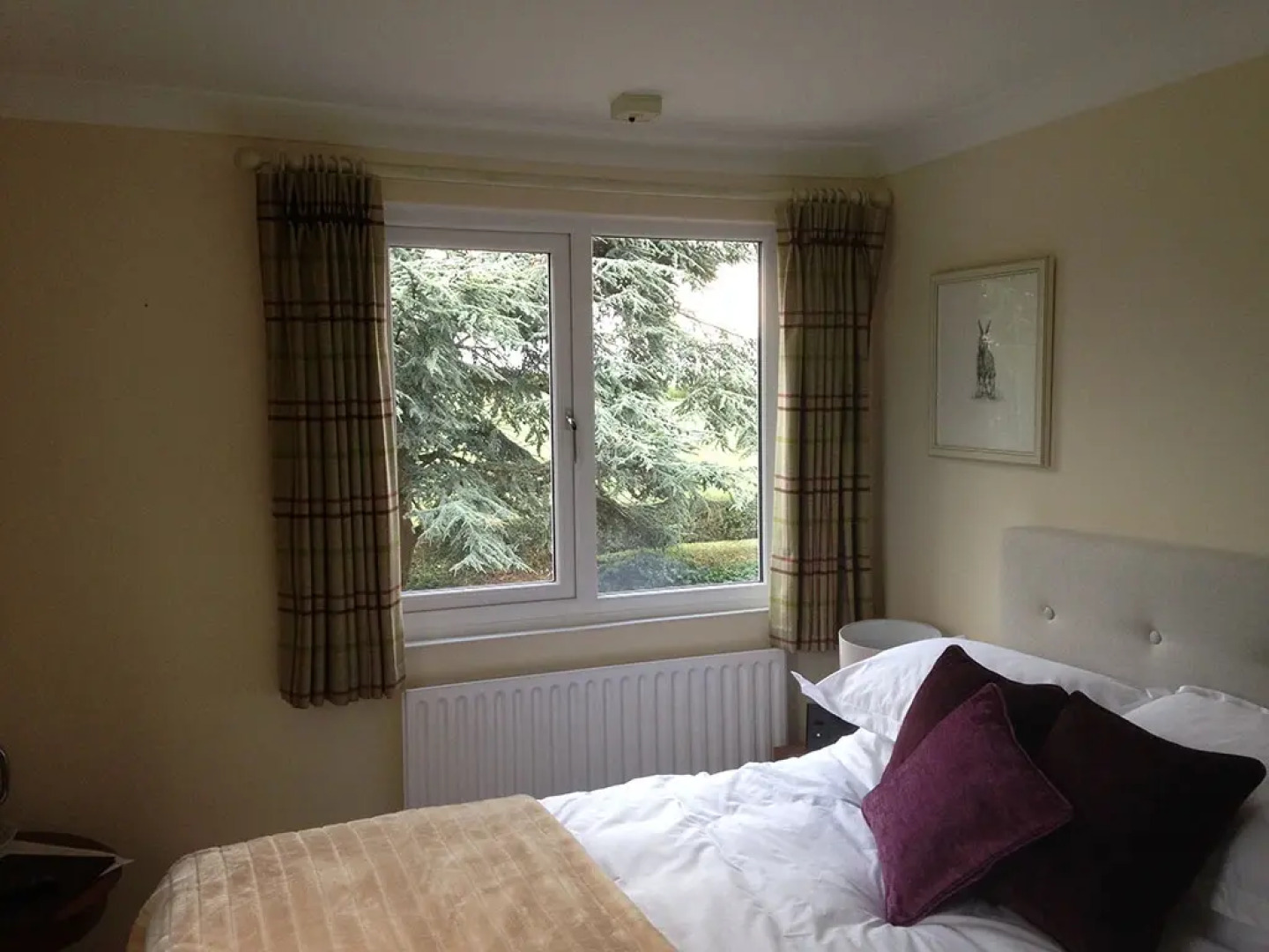 Whitethorn Bed and Breakfast