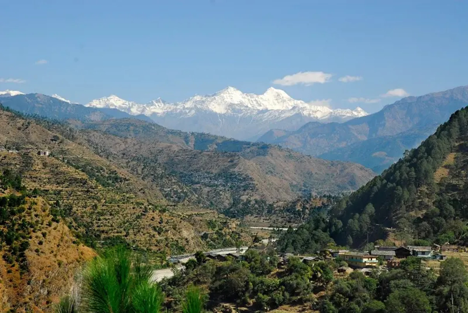 The Chardham Camp Barkot