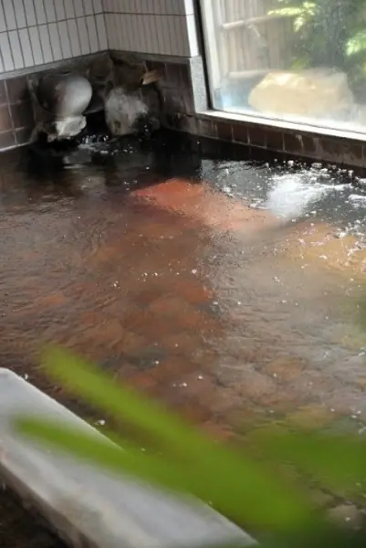 Tomada Onsen Iyashi no Yado Sensui