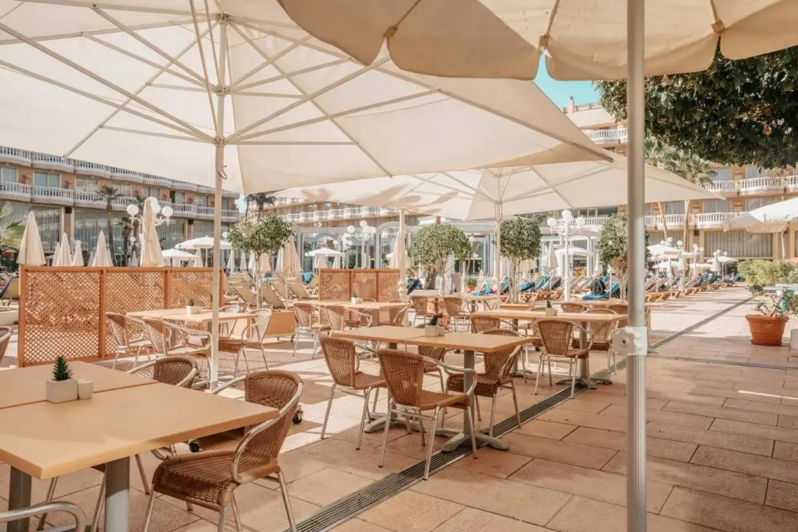 Cleopatra Palace Hotel