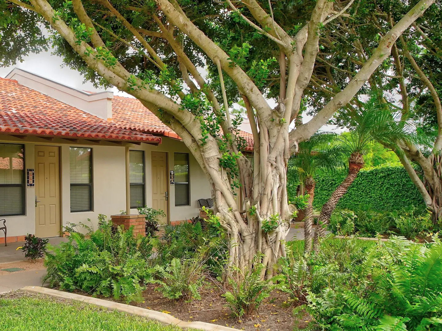 The Bungalows on Shary