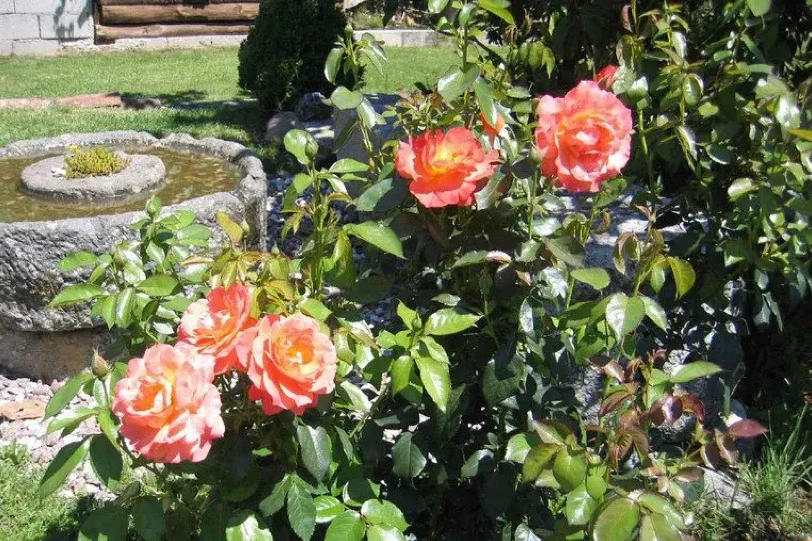 CASA CADENZI di Postai Riccardo - Holiday apartment