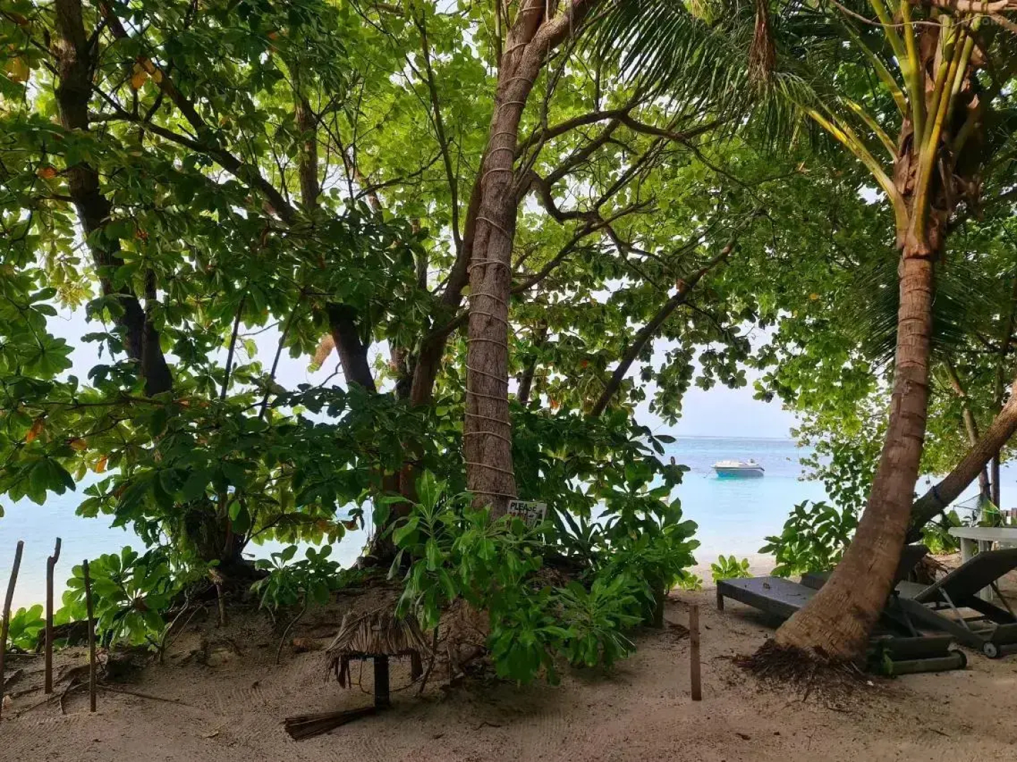 Гостевой Дом Sama Garden 