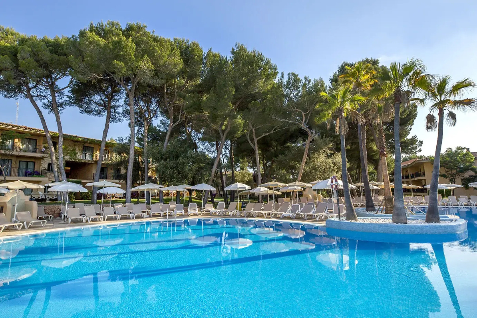 FERGUS Club Vell Marí