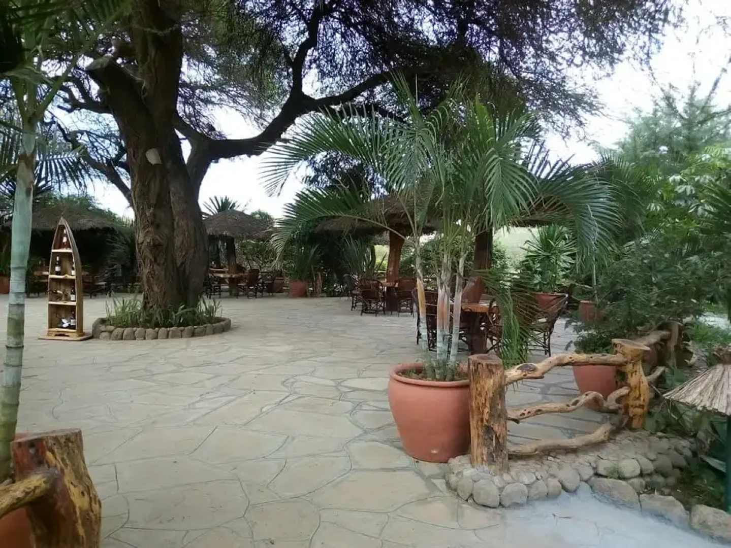 Kibo Safari Camp