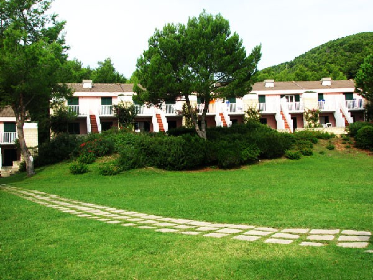 I Delfini di Pugnochiuso