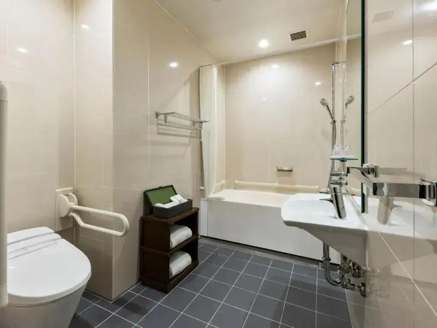 Hotel The Celestine Ginza