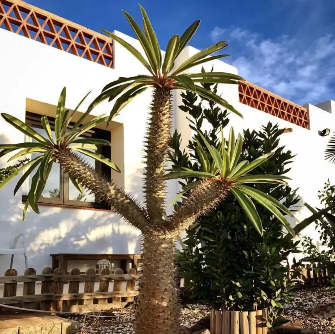 Cortijo El Paraíso