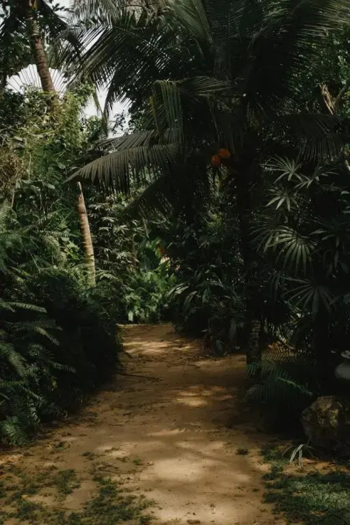 Dunes Unawatuna Hotel