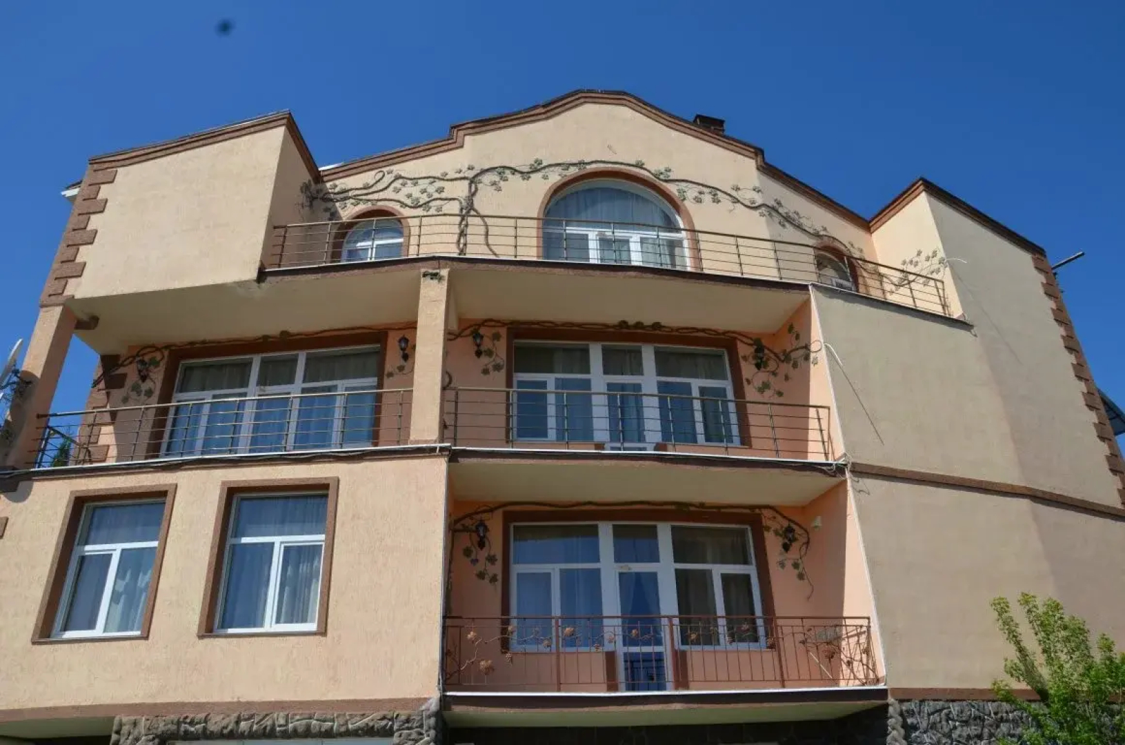 Mini-hotel Vinograd
