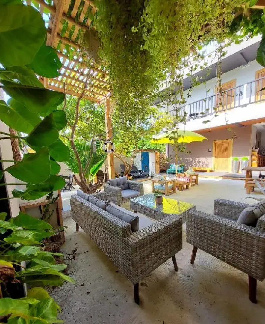Palms retreat