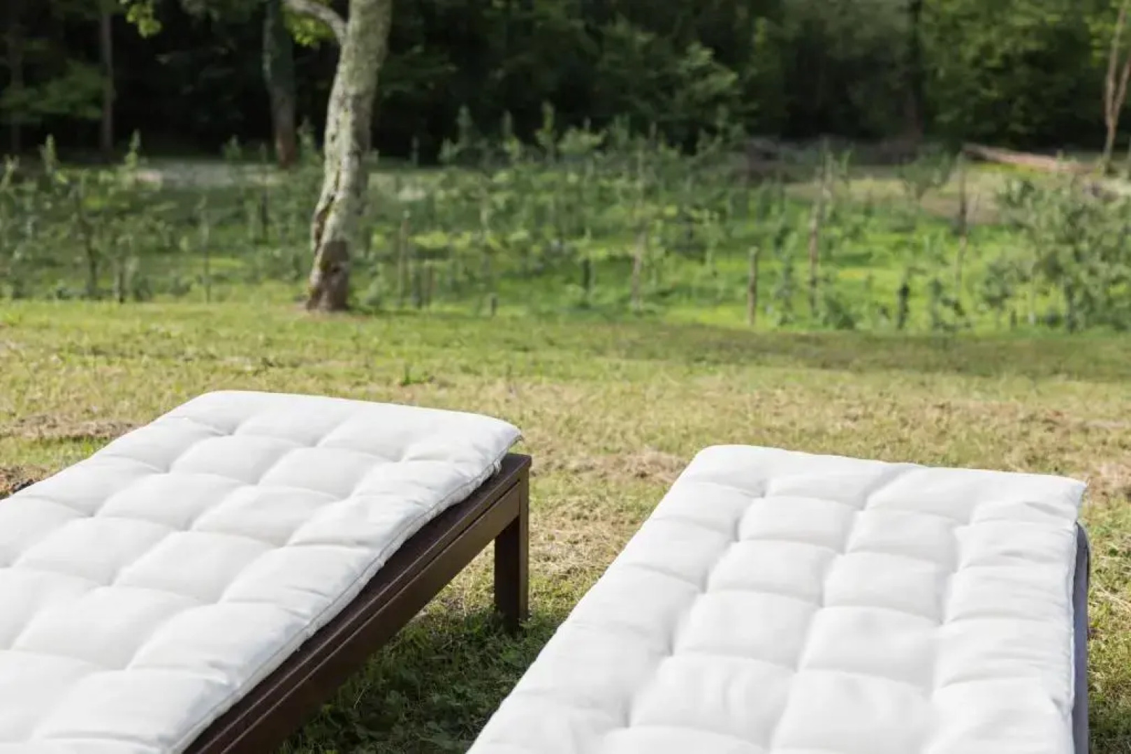 Agriturismo Di Là dall'Acqua