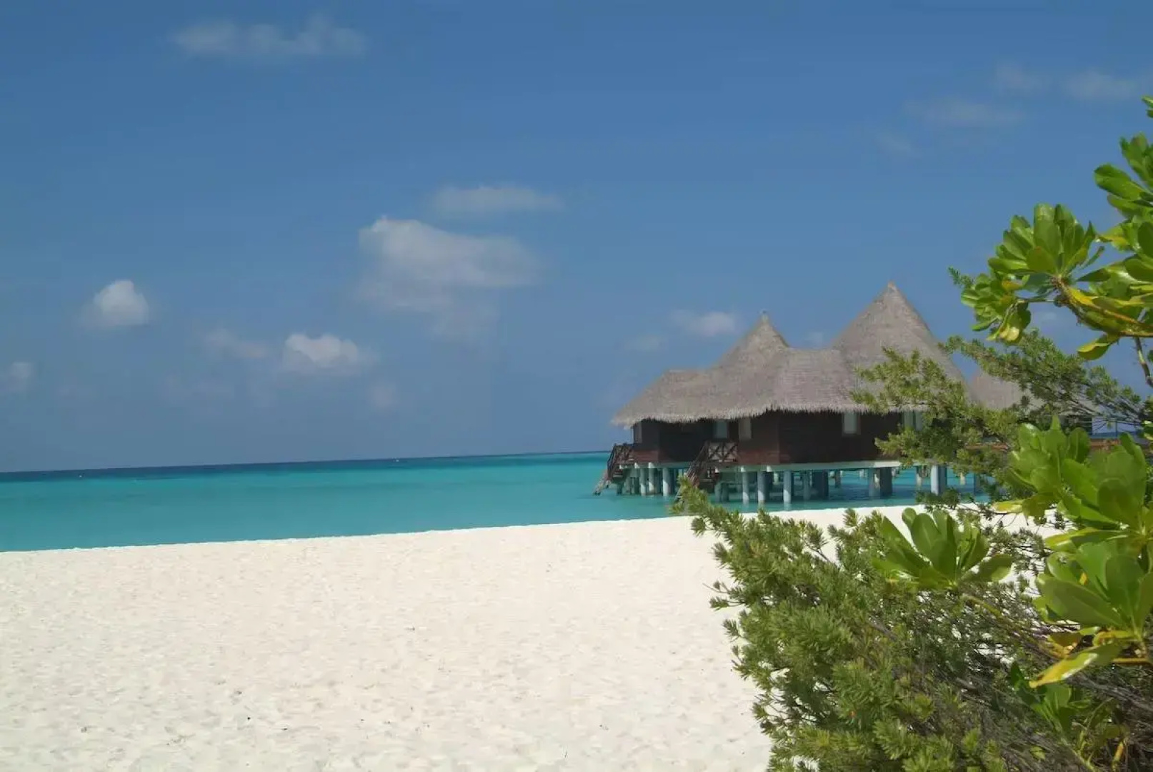 Курорт Coco Palm Dhuni Kolhu