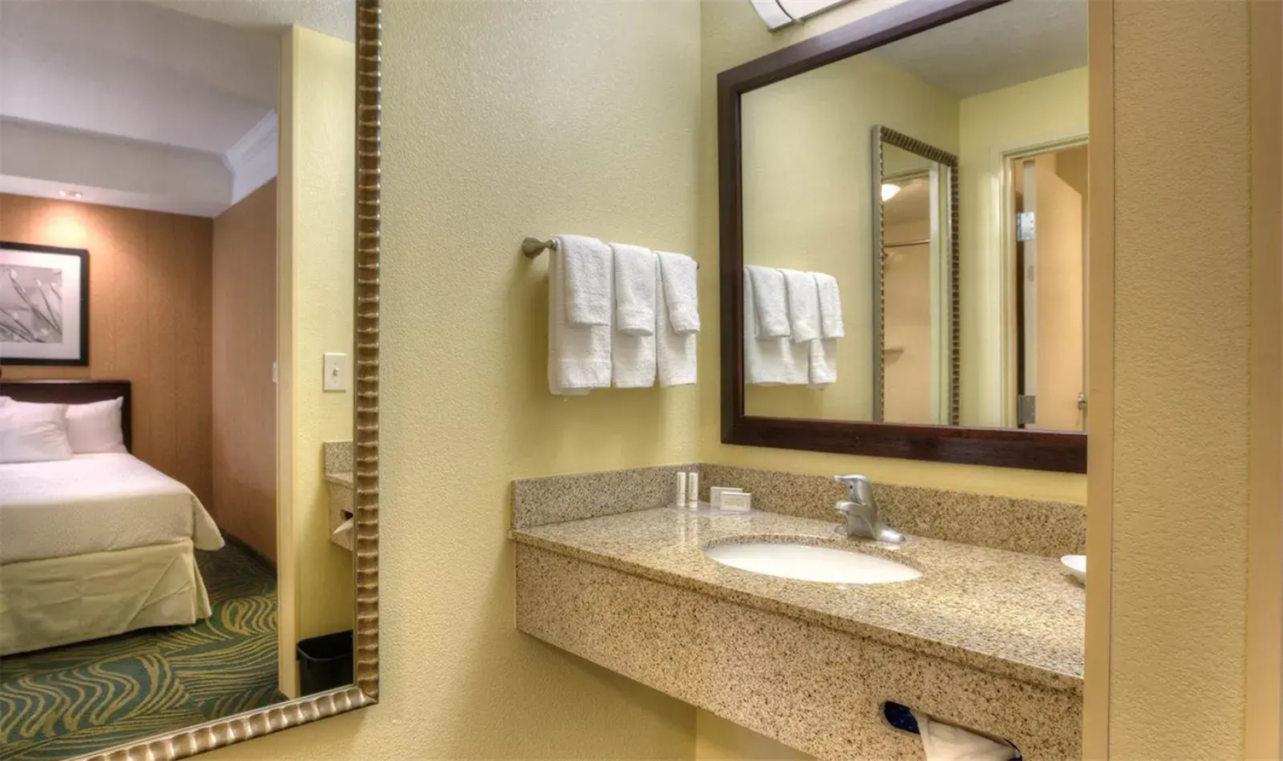 Springhill Suites by Marriott Tampa Brandon