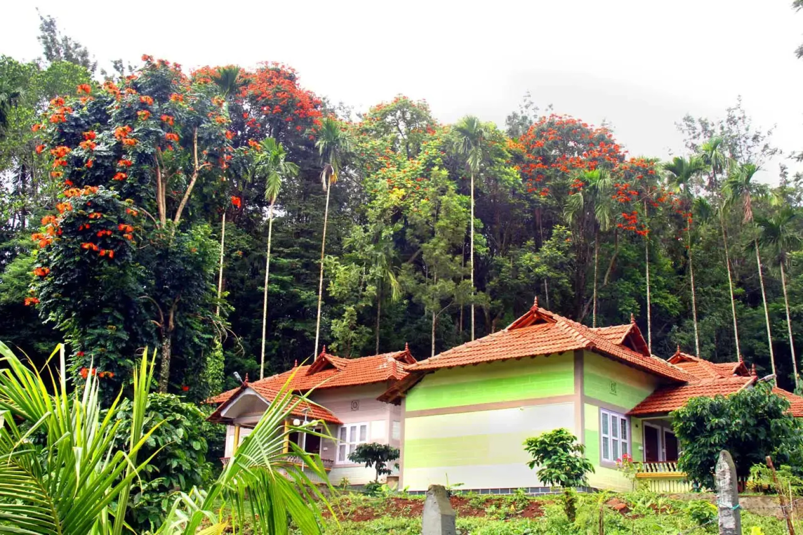 Coffea Aroma Resorts