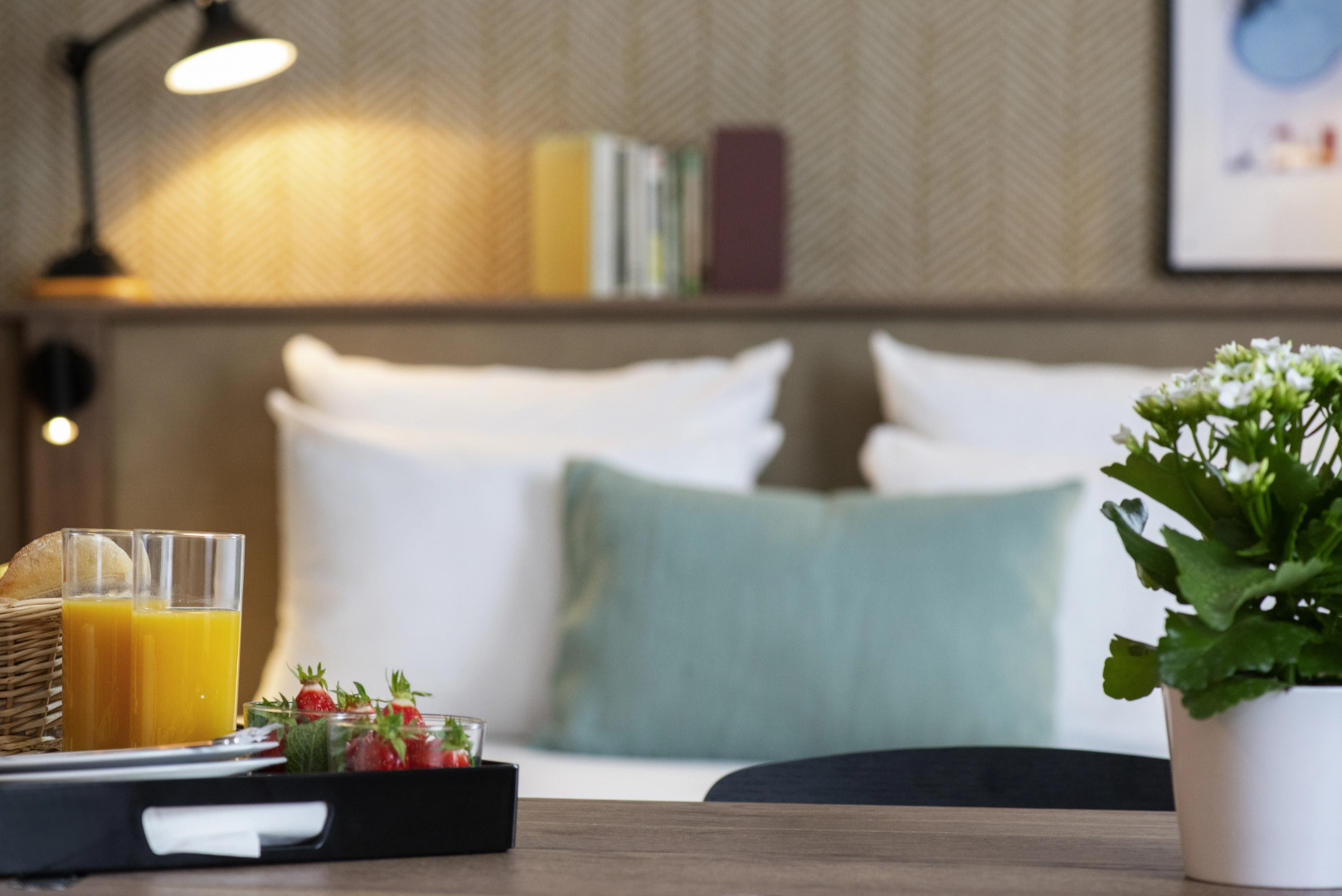 Novotel Suites Nice Airport