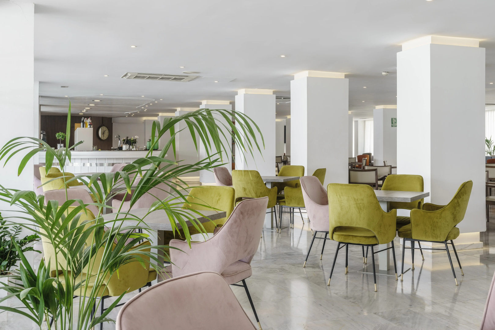 Alua Leo Hotel