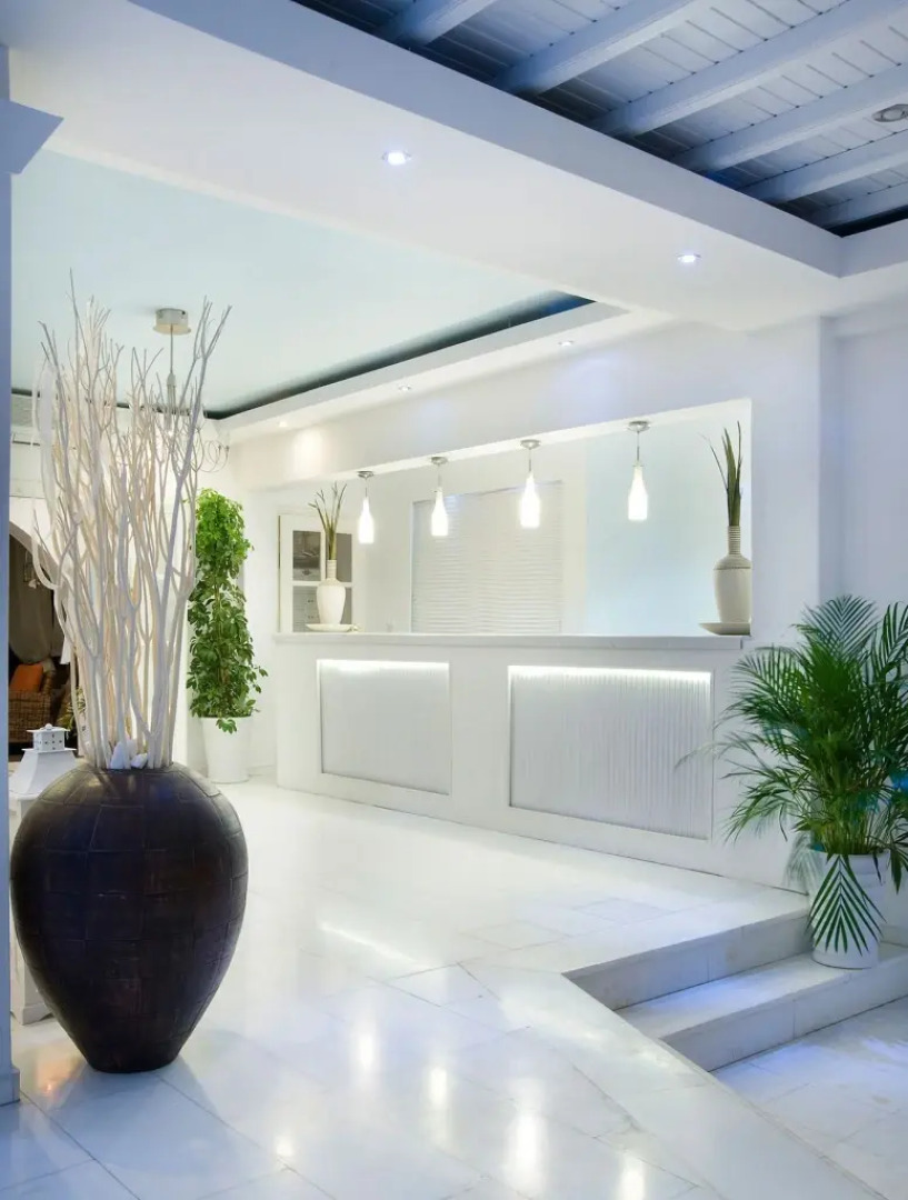 Dionysos Luxury Hotel Mykonos