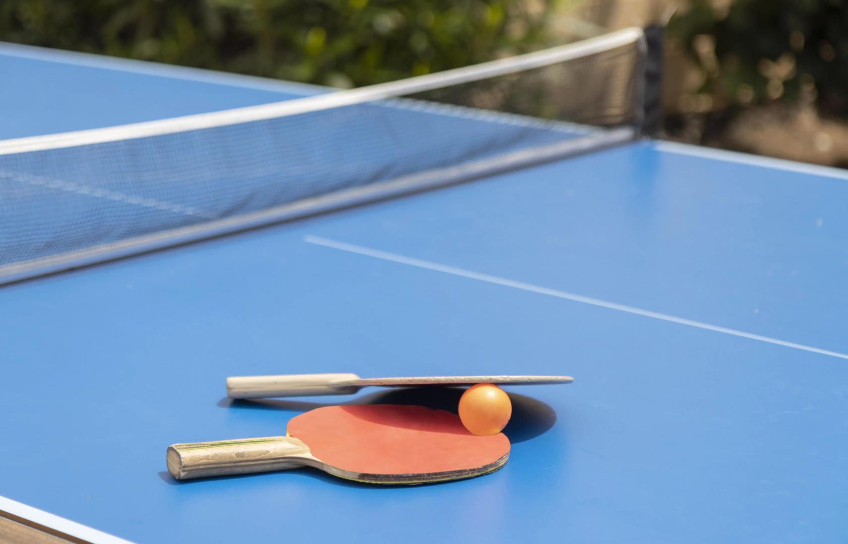 Hotel Palia Don Pedro