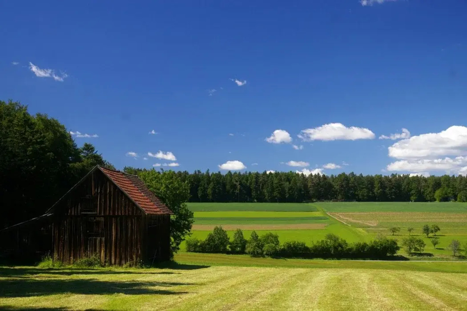 Hotel Schwarzwald Sonnenhof