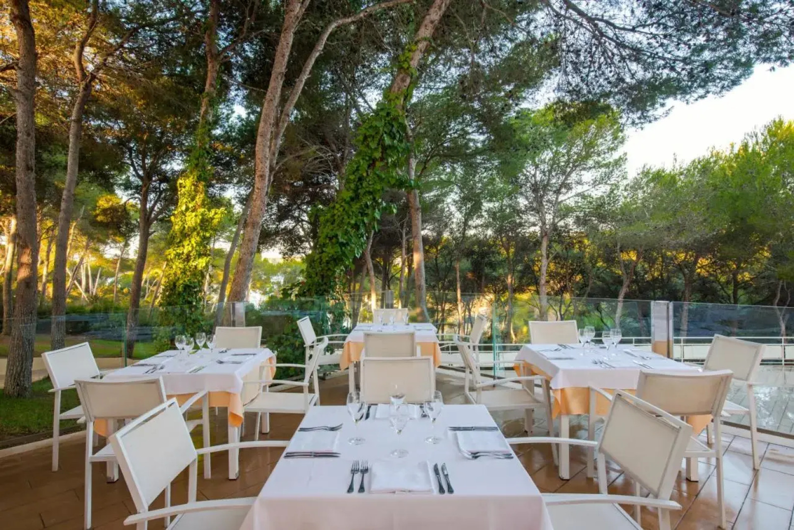 Отель Iberostar Club Cala Barca - All Inclusive