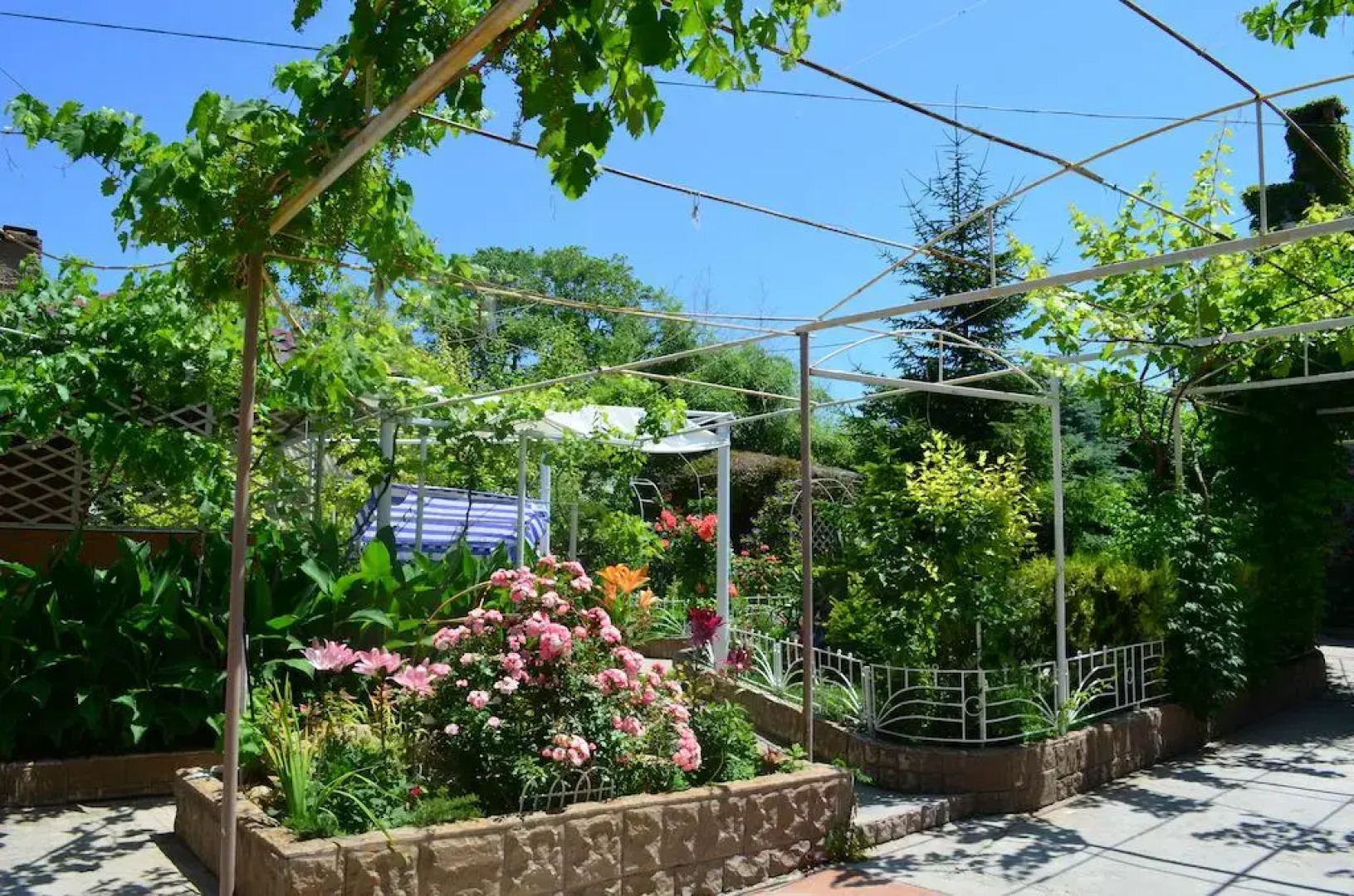 Мини Отель Камея