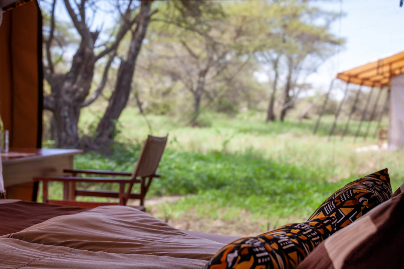 Gnu Ndutu Camp