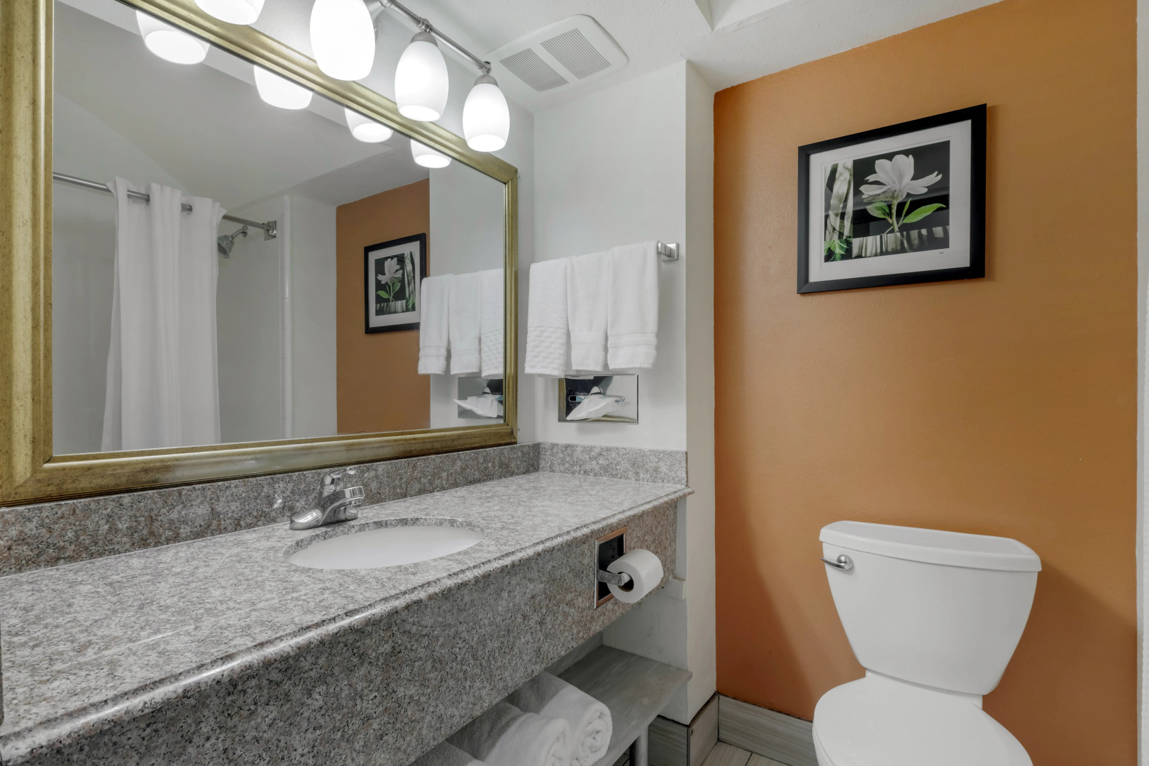 Best Western Plus Rockwall Inn & Suites