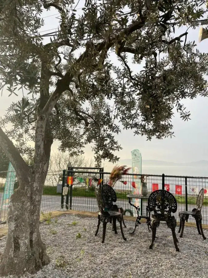 De La Terrasse Iznik