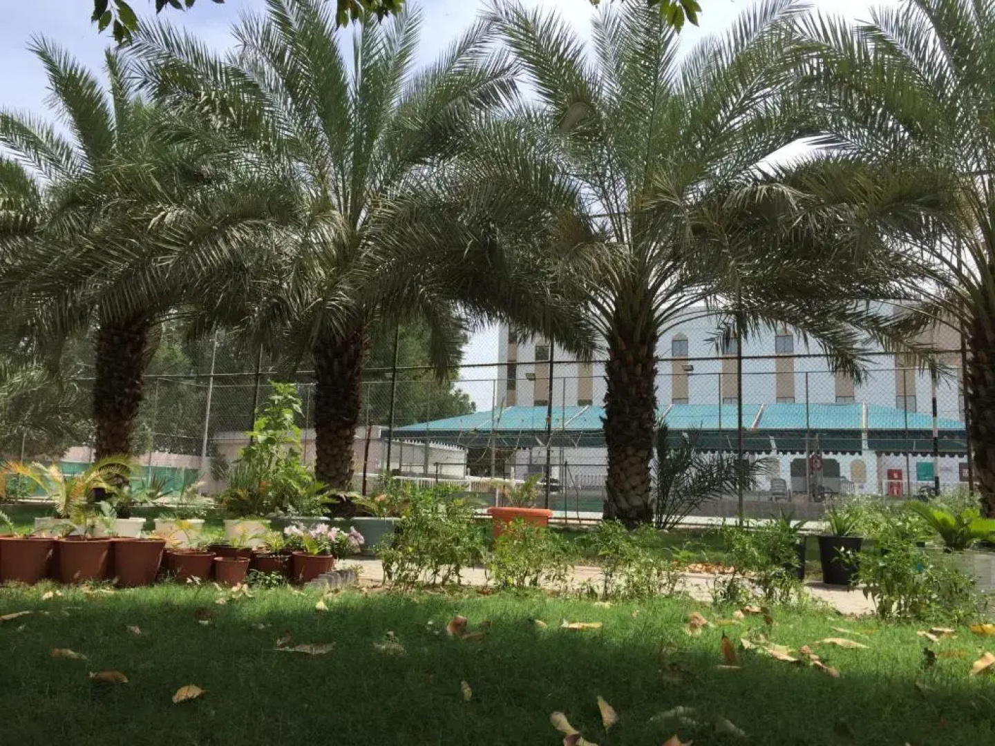 Hotel Al Madinah Holiday