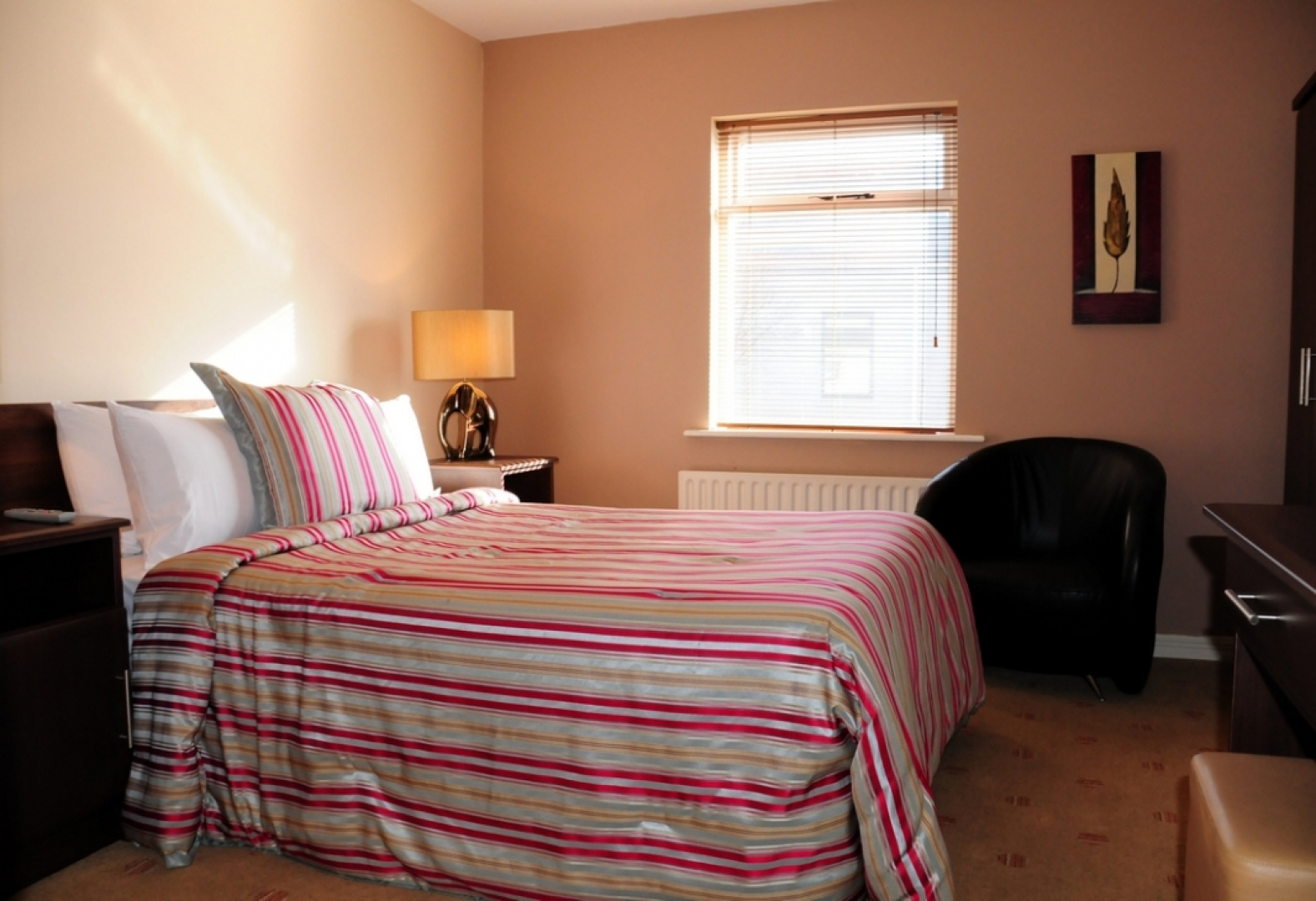 The Mayfly Hotel