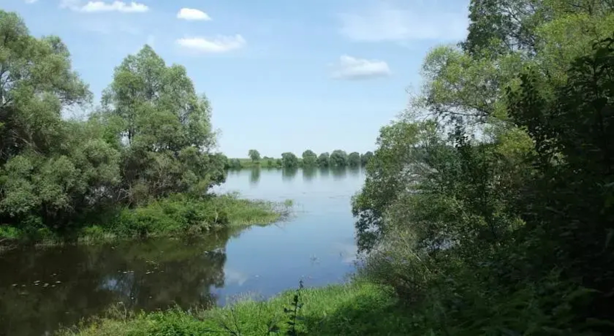 Отель Алпатьево