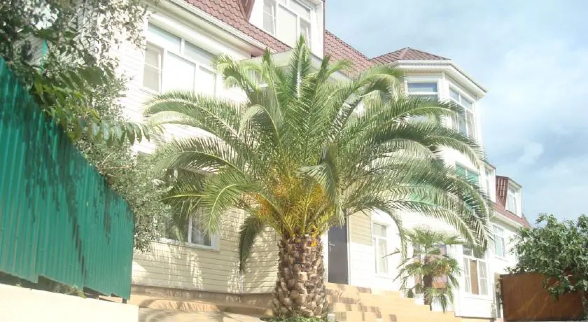 Апарт-отель Арабика