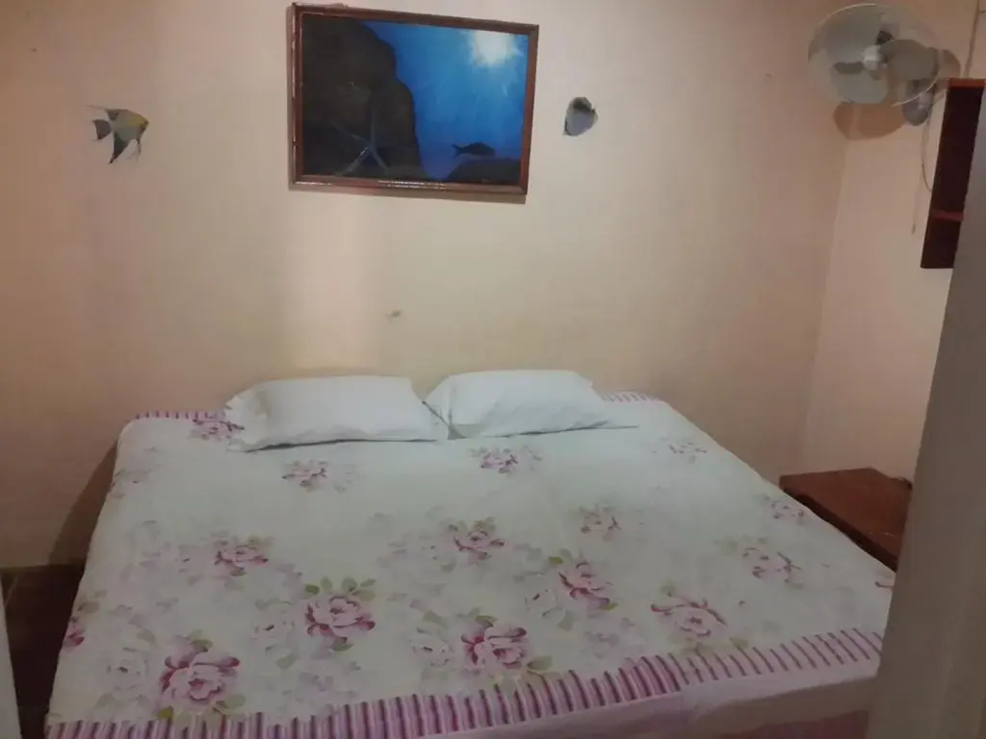 Hostal los Chamos