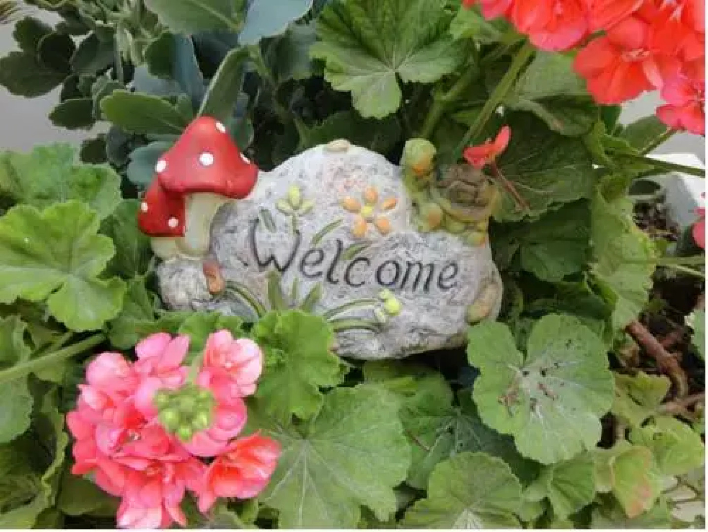 Апарт-отель Montes Studios & Apartments