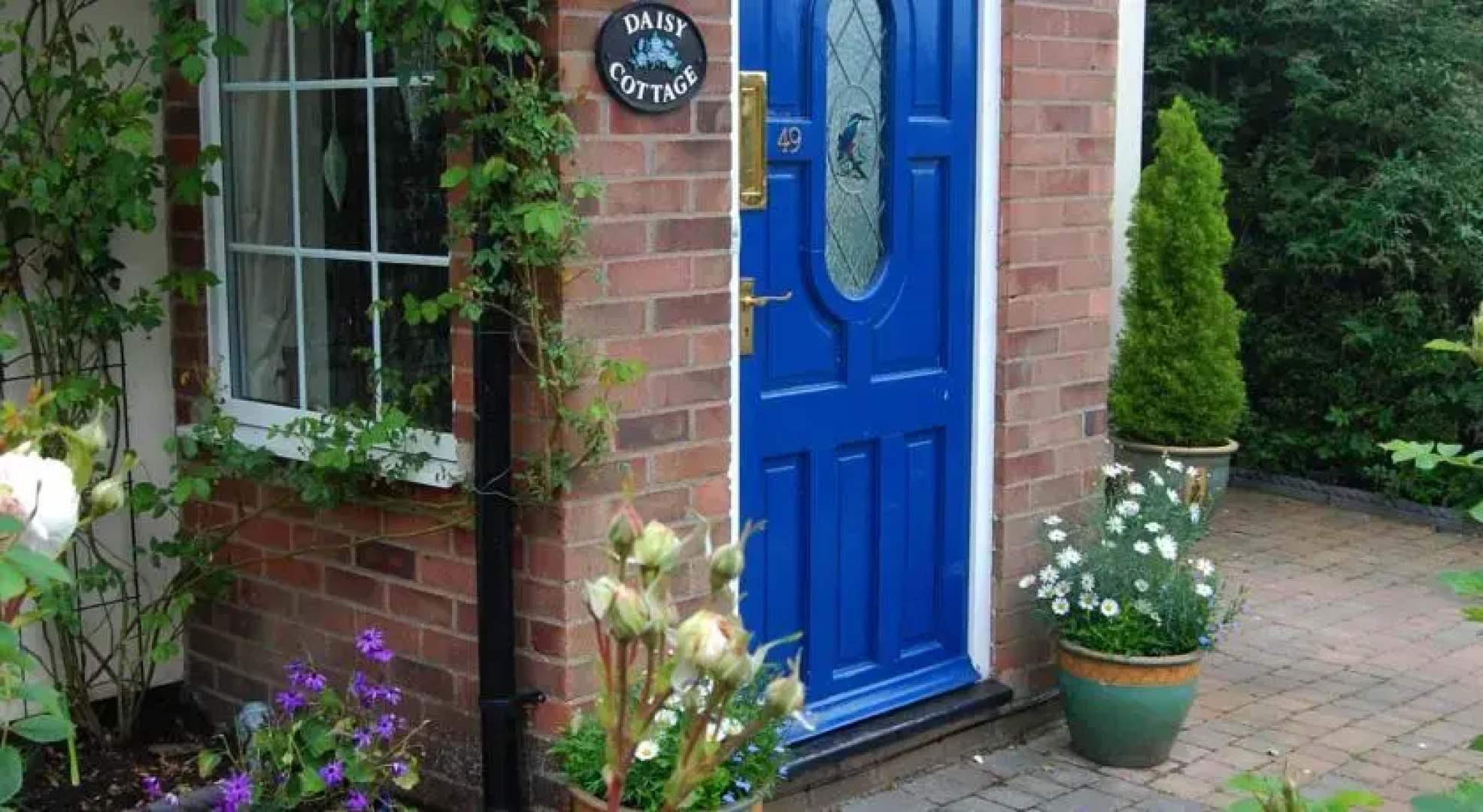 Daisy Cottage B&B