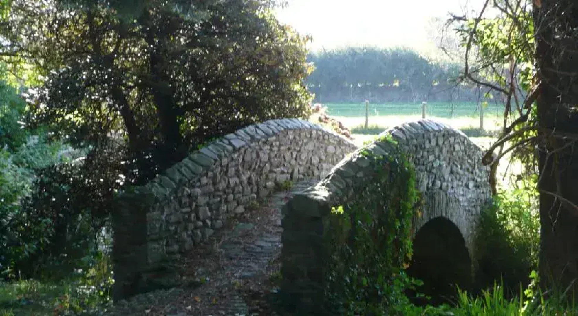 Bossington Hall