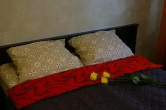 Pushkinskie Gory Comfort Apartment, фото 30 Pushkinskie Gory Comfort Apartment, фото 30