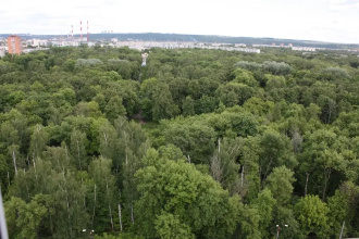 Апартаменты с видом на парк, фото 62