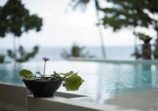 Nest Sense Resort