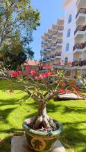 Le Aqua Resort & Spa Phan Thiet (Ex.Swiss Village Resort & Spa)