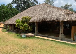 Madulkelle Tea And Eco Lodge