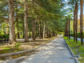 Olesya Guest House, фото 27