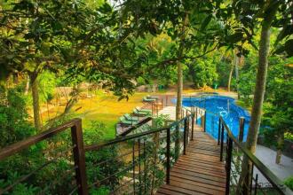 Jungle Village