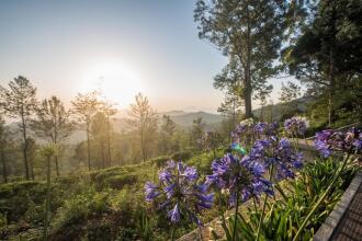 Goatfell Nuwara-Eliya
