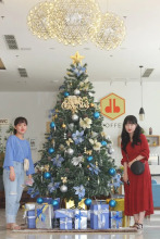 Cordial Grand Hotel Danang 4 Star