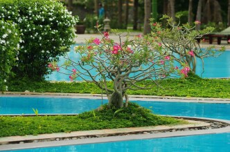 Muine Century Beach Resort & Spa